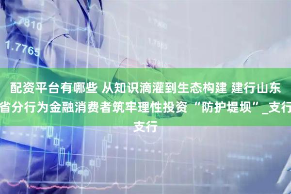 配资平台有哪些 从知识滴灌到生态构建 建行山东省分行为金融消费者筑牢理性投资 “防护堤坝”_支行